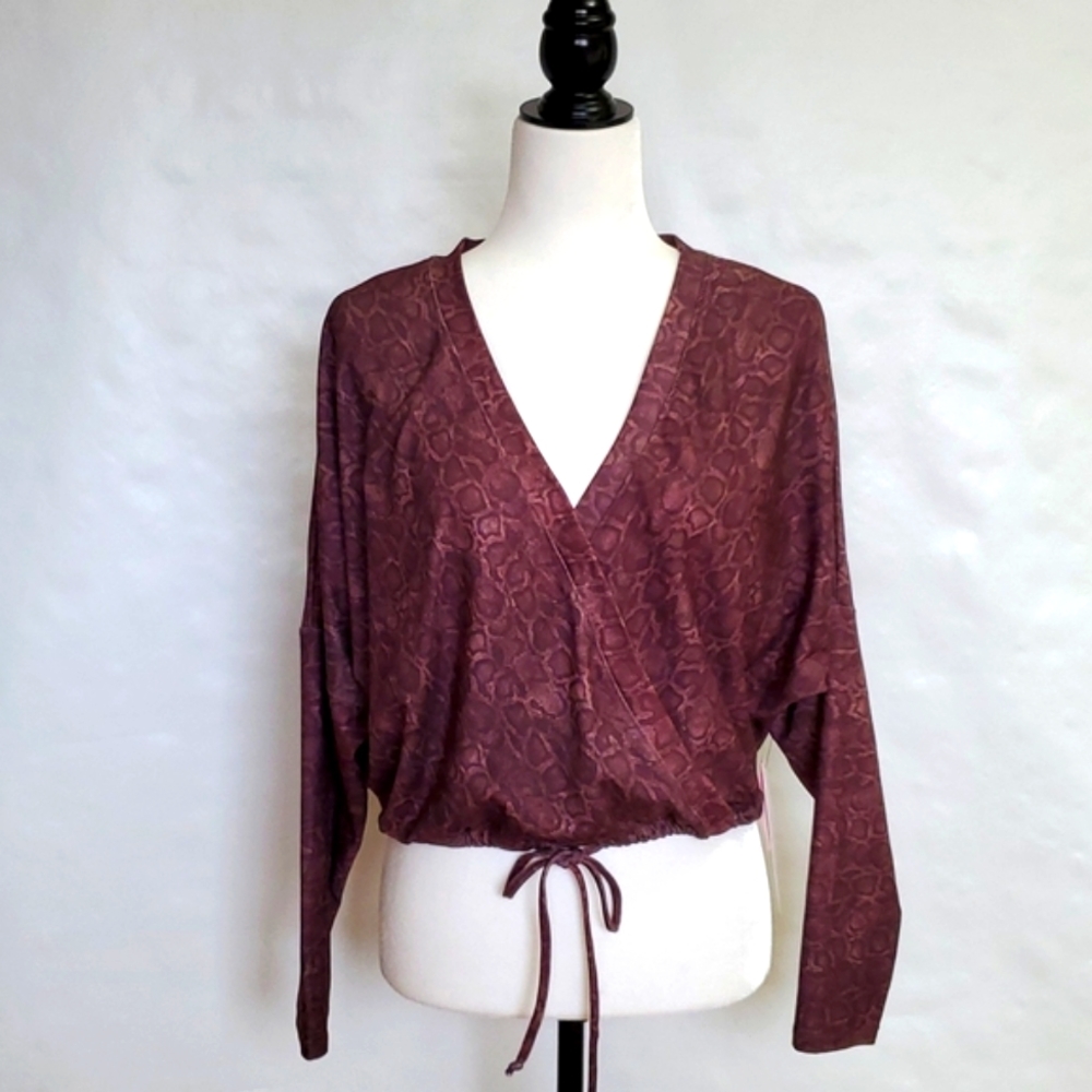 Evolution And Creation Top